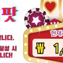 글쓰기의 발견 | 배대웅 작가와 함께한 4주 글쓰기 수업 후기