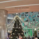 아쿠아오리지널롯데마트서현점 | 남포동 맛집 햄버거 다운타우너 부산롯데광복 수제버거