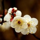 산바다여행 이미지