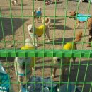 은지농장 이미지