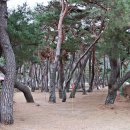 청송슬로씨티