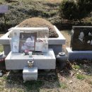 모란공원 이미지