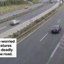 아우토반 이미지