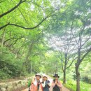 유*연 - 미추홀구 낙섬동로 104 | 유*연