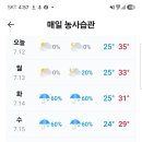어제 둘째 누님 집에 가서 자고 피엠 등록 하고 혁원 형님 집에 가서 설명 하고 이미지