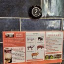 나리목장2 이미지