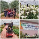 용정농장 이미지