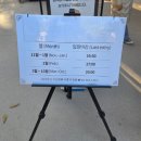 정릉65 | 강남 도심 속 왕릉 산책, 선릉·정릉 후기｜아이와 역사 이야기 나누기 좋은 곳