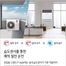 수상한 렌탈 티스토리