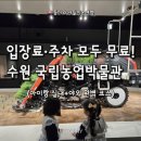 서호지구대 | [수원 아이랑] 서호 벚꽃 드라이브 &amp; 국립농업박물관 재방문! (무료주차 꿀팁 &amp; 식물관 폭포)