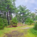 옥화자연휴양림 이미지