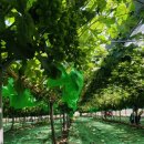 목인농장 이미지