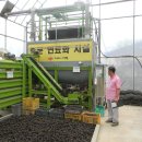 통진목장 이미지