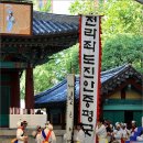 세요고 이미지