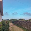 하도조아 이미지