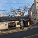 서대구뽈찜식당 | 통영 케이블카 근처 봉수골, 봉평동 맛집 - '용화찜' 대구뽈찜 후기