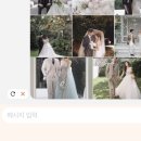 스튜디오 촬영 | 클레이앤클레어 오후 촬영 후기 (ft. 켈리손윤희, 에이바이봄, 에르모쏘 헤어변형)