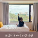 오마이패키지 이미지