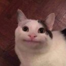 행복한모루도서관 나눔방 | 행온 - 도학위