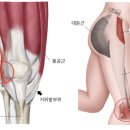 더튼튼한의원 이미지