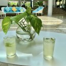 비고리조트 5 | 세부숙소내돈내산 탐불리 리조트 해피아워 수영장 후기