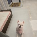 브리앙뜨몽 이미지