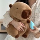 루시아이 이미지