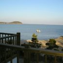 해변의 꿈 이미지