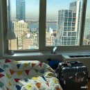 도우민박 이미지