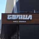 고릴라 투 | 니나니나니고릴라다🦍🦍