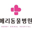 칠보동물병원 | 수원 호매실동 동물병원 메리동물병원 위치 오는길 후기