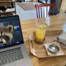 예일디저트