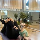 힐링요가&필라테스