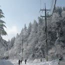 영하목장 이미지