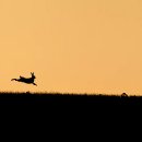 부천정보산업고등학교 이미지