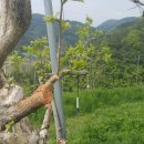 조아농장 이미지