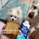 [방배PT / 여성전용 모브핏] 내가 바프를 준비하면서 가장 신경 썼던 것들 (1) / 바프 꿀팁 / 바디...