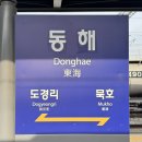 일출언덕신산게스트하우스 | 넵 그럼 그냥 묵호 진행할께요...