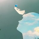 (주)디지털오아시스 네이버블로그