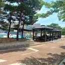 광적생활체육공원 족구장 네이버블로그