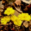 사창리마을회 이미지