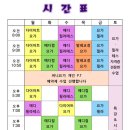 비니요가&다옴필라테스
