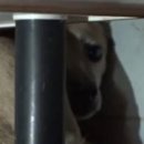 서문농장 이미지