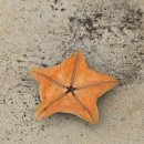 그랜드파노라마 풀빌라 이미지