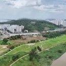 익사이트 카카오 검색결과