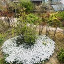 토끼집스테이 이미지