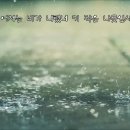 ☔어제 내린 비 이미지