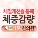 버드나무한의원 이미지