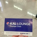 동반자항공권취소수수료