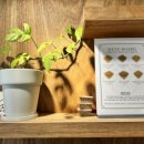 윔스(WIMS) 이미지